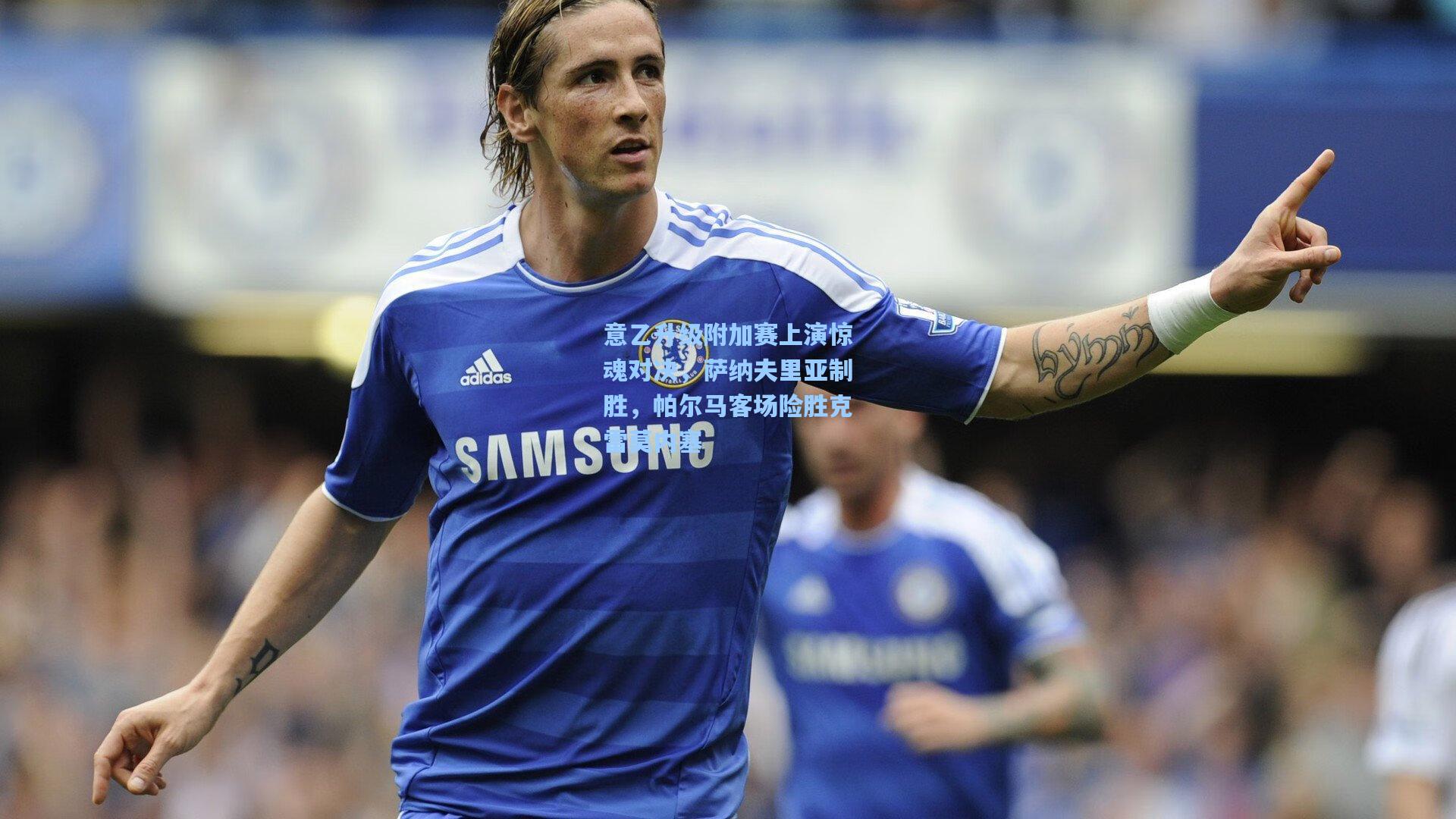 爱游戏中国-意乙升级附加赛上演惊魂对决，萨纳夫里亚制胜，帕尔马客场险胜克雷莫内塞